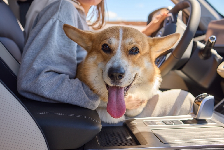 Read more about the article Common Causes of Car Accidents #2