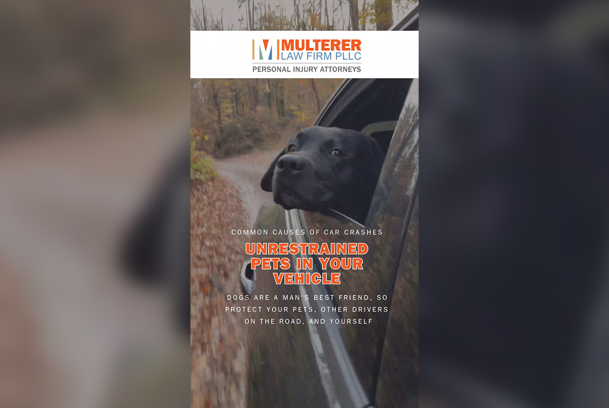 Never drive with unrestrained pets. If you've been hit by a driver who's distracted by their pet, causing injuries, call Multerer Law Firm.